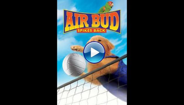 2003 Air Bud: Spikes Back
