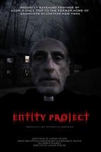 Entity Project (2019)