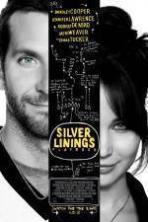 Silver Linings Playbook ( 2012 )