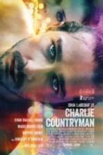 The Necessary Death of Charlie Countryman ( 2013 )