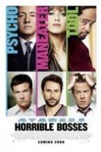 Horrible Bosses ( 2011 )