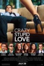 Crazy Stupid Love ( 2011 )