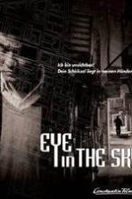 Eye in the Sky ( 2007 )