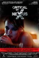 Critical Nexus ( 2013 )
