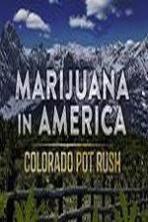 Marijuana in America: Colorado Pot Rush ( 2014 )