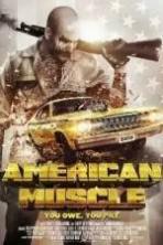 American Muscle ( 2014 )