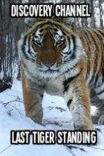 Discovery Channel-Last Tiger Standing ( 2014 )