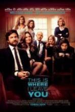 This Is Where I Leave You ( 2014 )