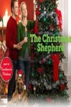 The Christmas Shepherd ( 2014 )