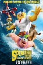 The SpongeBob Movie: Sponge Out of Water ( 2015 )