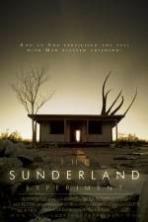 The Sunderland Experiment ( 2014 )