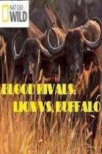 National Geographic - Blood Rivals: Lion vs. Buffalo ( 2015 )