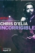 Chris D'Elia: Incorrigible ( 2015 )