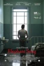 Elephant Song ( 2014 )