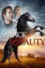 Black Beauty ( 2015 )