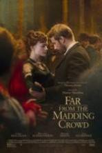 Far from the Madding Crowd ( 2015 )