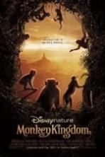 Monkey Kingdom ( 2015 )