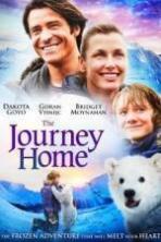The Journey Home ( 2014 )