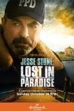 Jesse Stone: Lost in Paradise (2015)