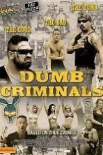 Dumb Criminals The Movie ( 2015 )