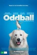Oddball ( 2015 )