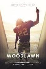 Woodlawn ( 2015 )