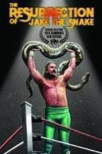 The Resurrection of Jake The Snake Roberts ( 2015 )