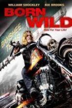 Born Wild ( 2013 )