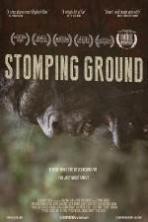 Stomping Ground ( 2015 )