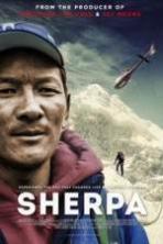Sherpa ( 2015 )