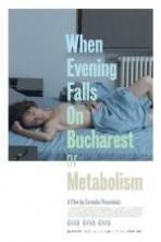 When Evening Falls on Bucharest or Metabolism ( 2013 )