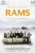 Rams ( 2015 )