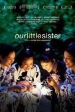 Our Little Sister ( 2015 )