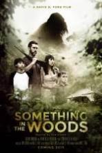 Something in the Woods (2016)