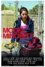 Model Minority ( 2012 )