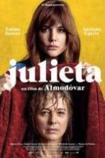 Julieta ( 2016 )