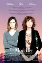 The Meddler ( 2016 )