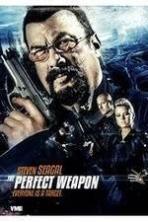 The Perfect Weapon ( 2016 )