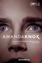 Amanda Knox ( 2016 )