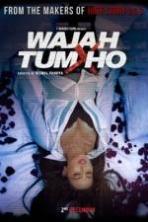 Wajah Tum Ho ( 2016 )