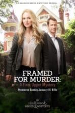 Framed for Murder: A Fixer Upper Mystery ( 2017 )