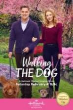 Walking the Dog (2017)