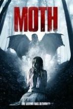 Moth ( 2017 )