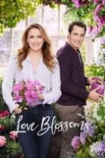 Love Blossoms ( 2017 )