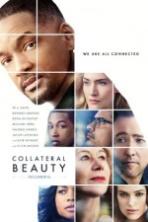 Collateral Beauty ( 2016 )