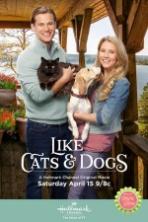 Like Cats and Dogs (2017)