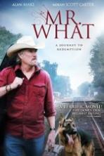Mr What ( 2015 )