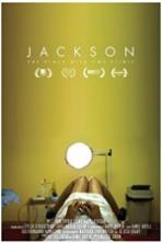 Jackson ( 2016 )