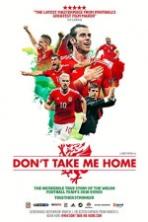 Don't Take Me Home (2017) Full Movie Watch Online Free