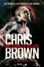 Chris Brown Welcome to My Life (2017) Full Movie Watch Online Free Download